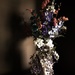 Flowers and Window Light by jeffjones