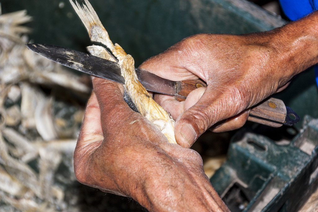 Filleting Fish by seacreature