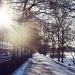 Winter Sun by lily