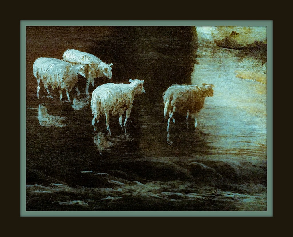 FILLER: DIA Detail - Sheep crossing the water by houser934