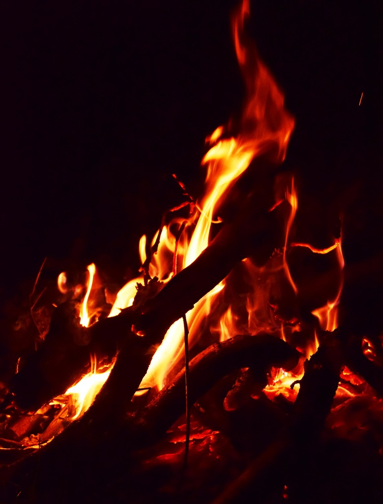 bonfire by ianmetcalfe
