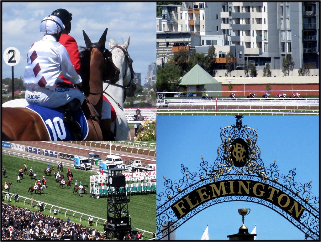 Flemington - home of the Melbourne Cup by robz