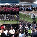 Melbourne Cup - The race that stops a nation! by robz
