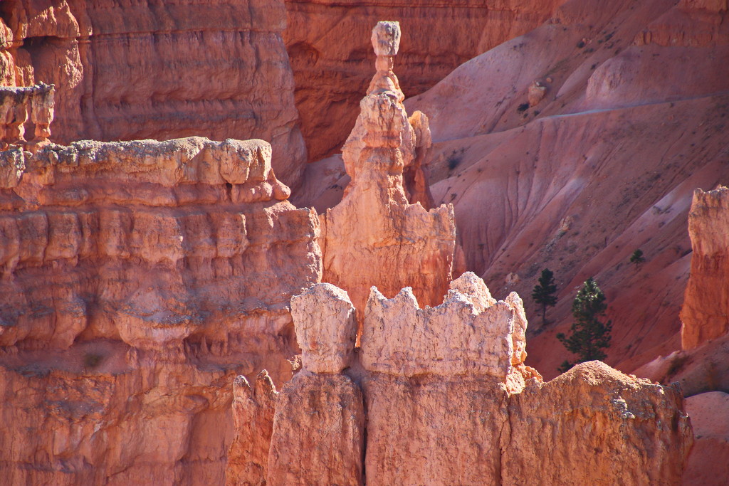 Up Close and Personal with a Hoodoo by terryliv