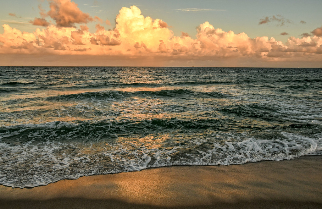 Ft. Lauderdale beach continued by danette