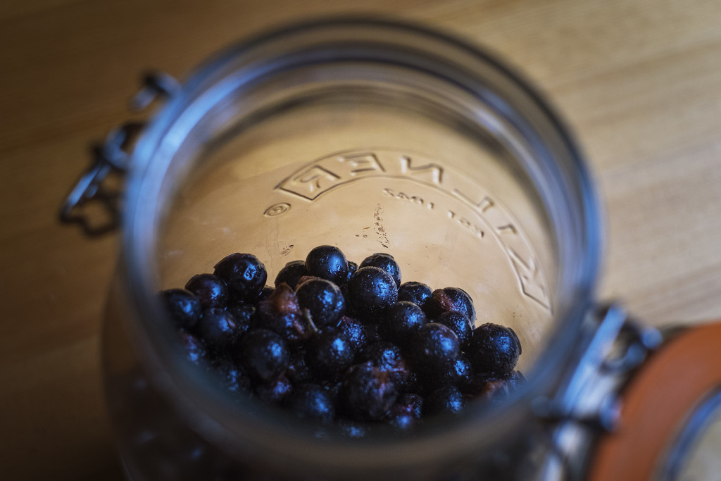 Day 275, Year 5 - Sweet Sloes by stevecameras