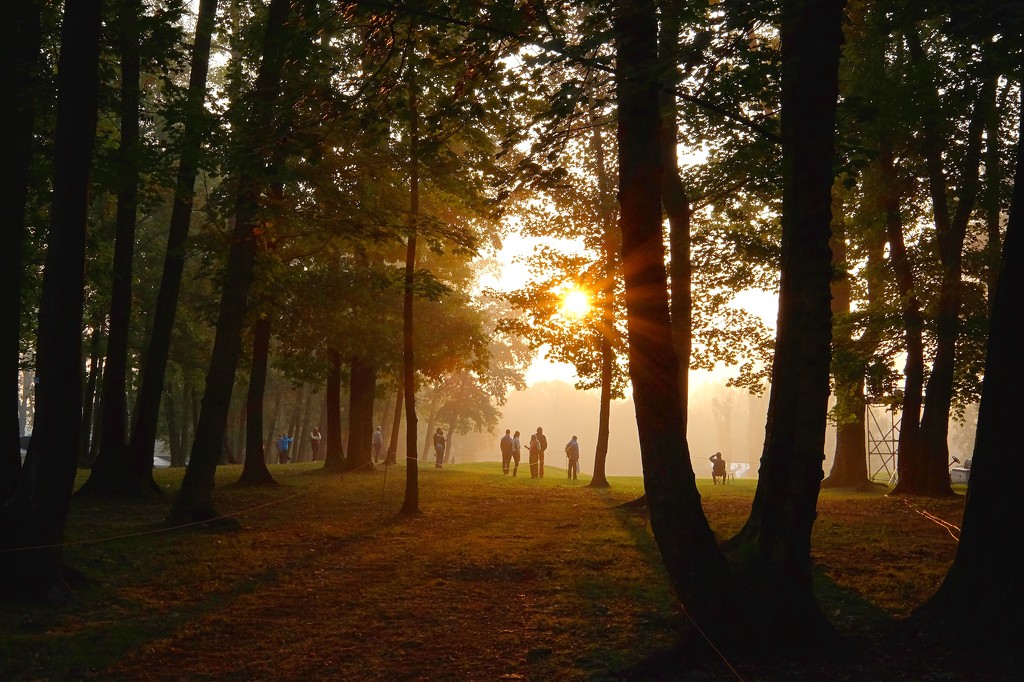 Day 286, Year 5 - Misty Monza Morning by stevecameras