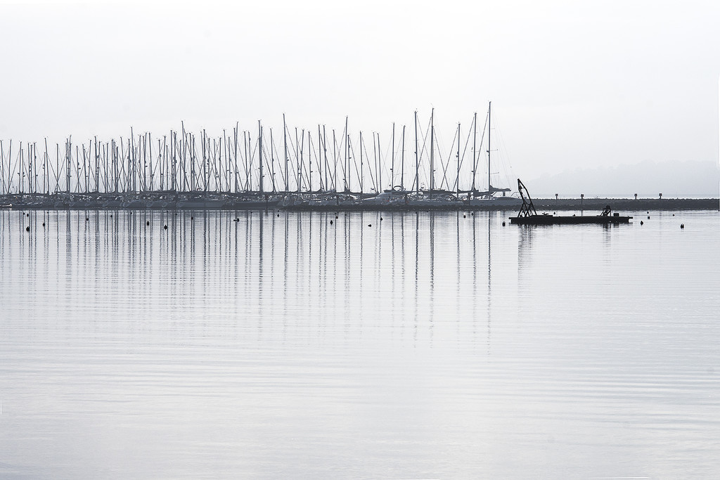 Parkstone Yacht Club in fog by davidrobinson