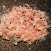 Pink Hemalayan Salt by homeschoolmom