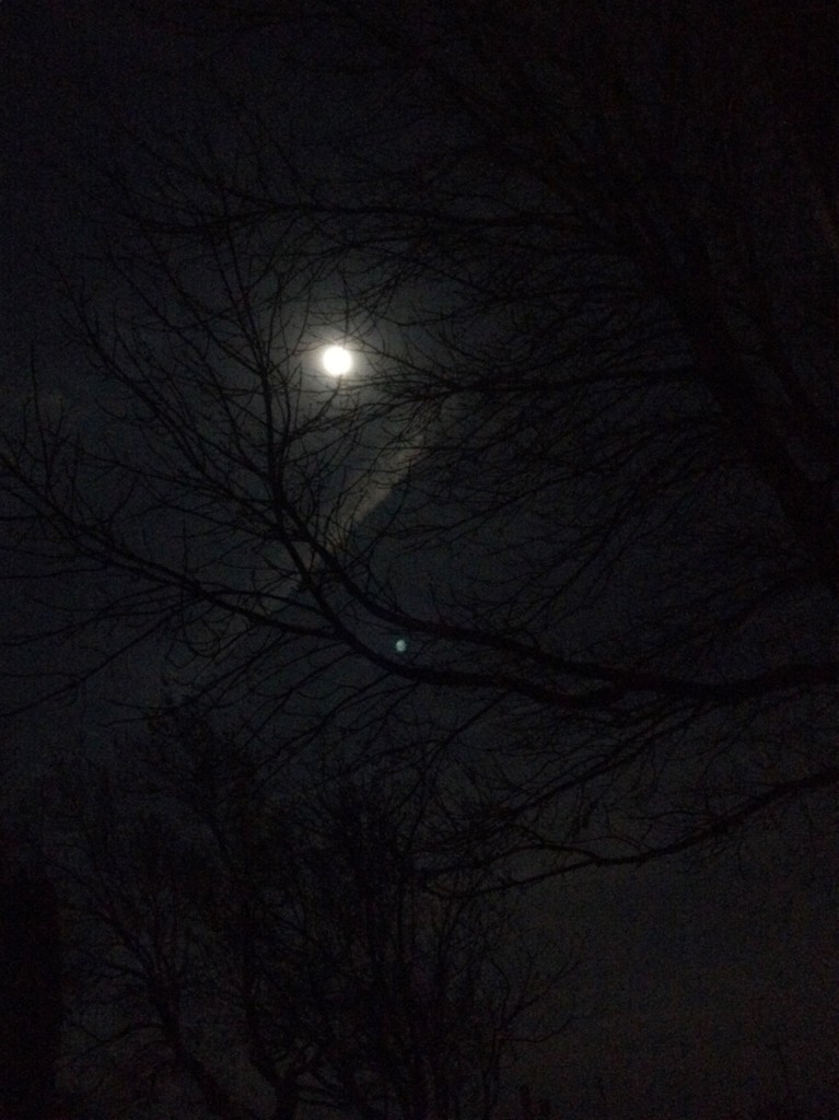Moonlight Out My Window by bjchipman