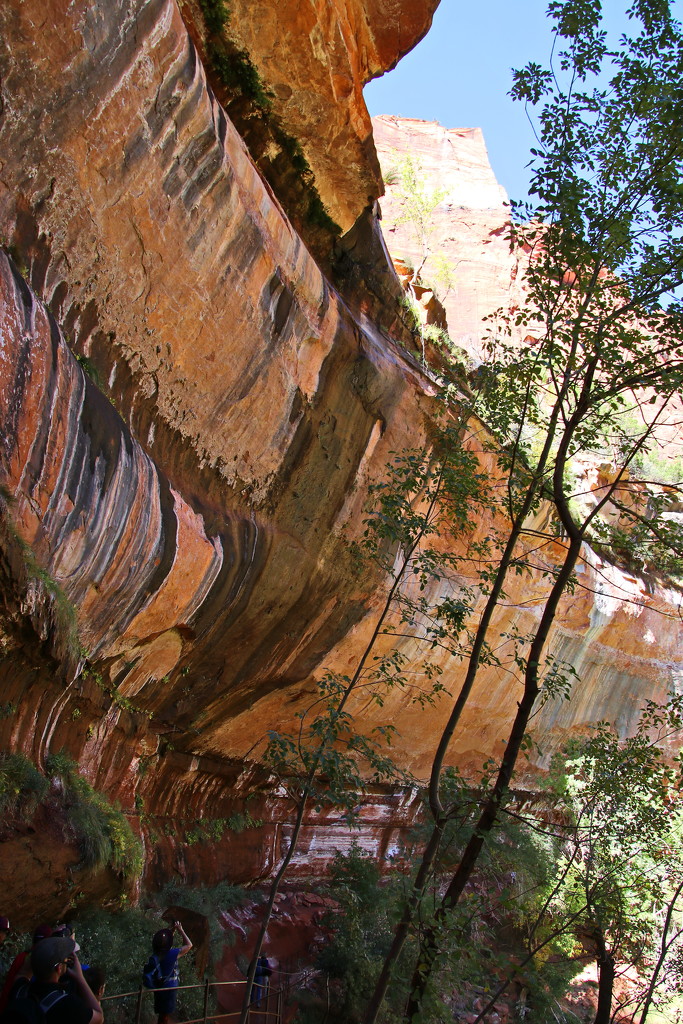 Emerald Pools Cliff Face by terryliv