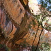 Emerald Pools Cliff Face by terryliv