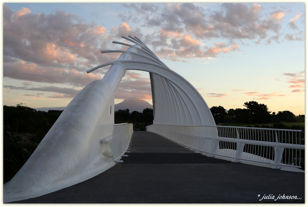 Te Rewa Rewa Bridge... by julzmaioro