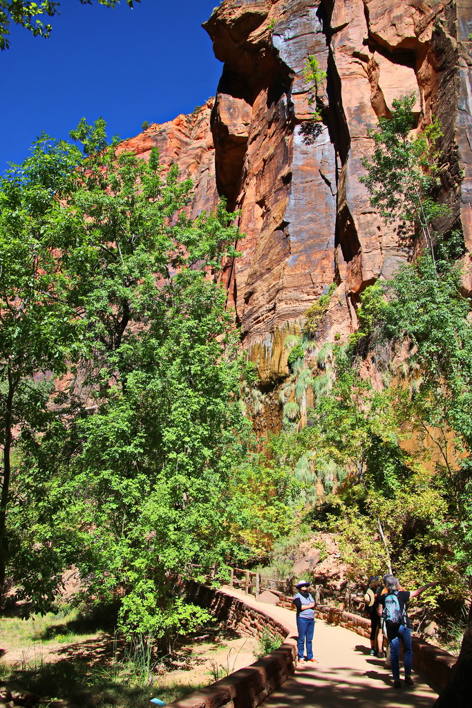 Walking in Zion by terryliv