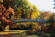 11th Nov 2017 - Bridge And Fall Colors