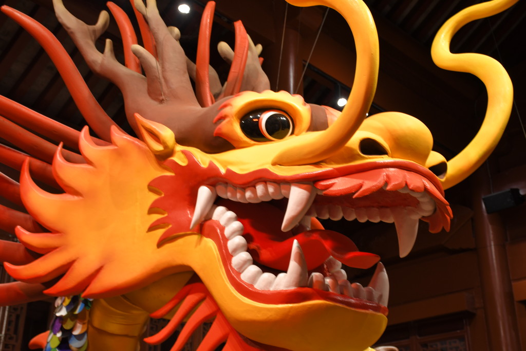 Chinese Dragon at the exhibit of Chinese Lanterns  by momarge64