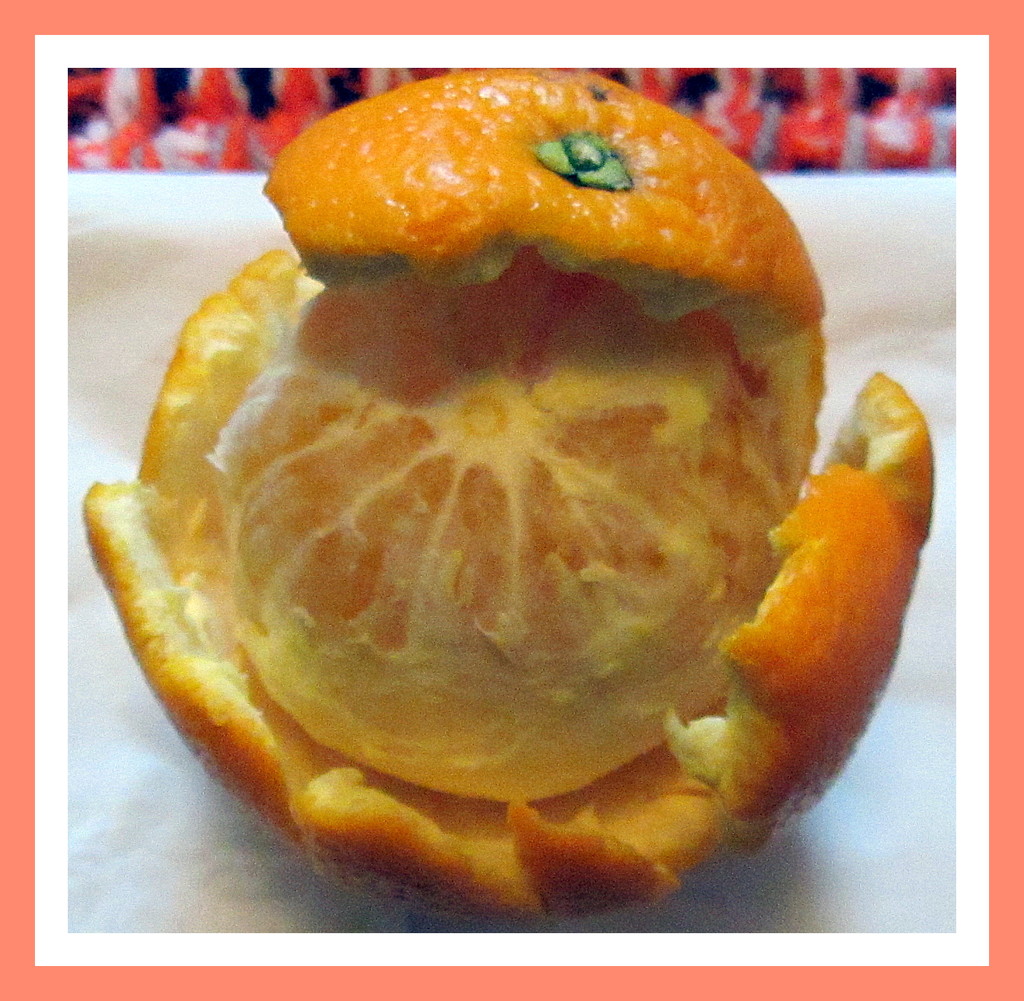 An orange. by grace55