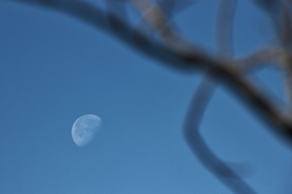 The Moon At Noon by bjchipman