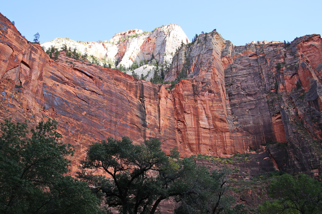 Red Cliffs, White Peaks by terryliv
