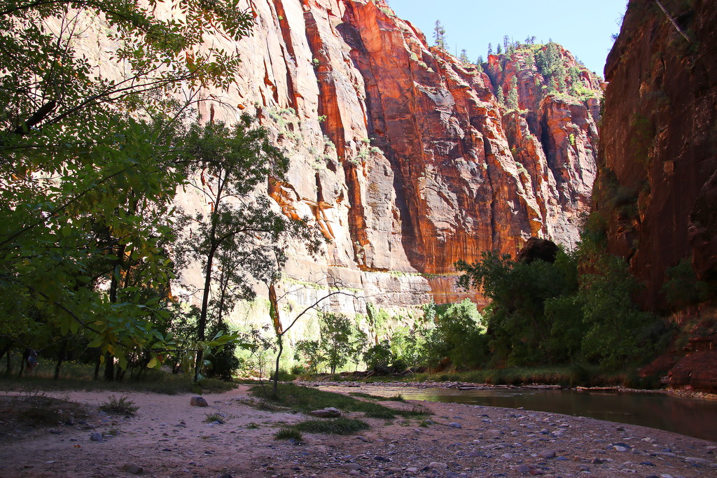 Zion Canyon by terryliv