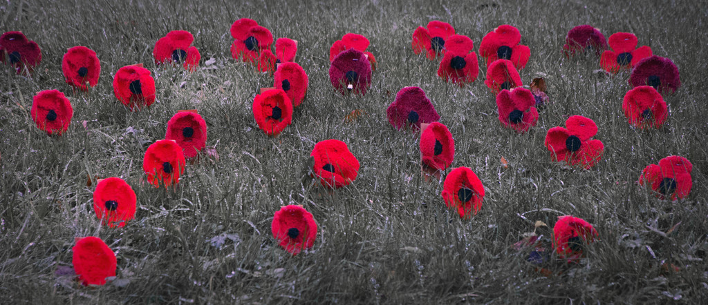 Lest We Forget by megpicatilly