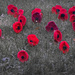 Lest We Forget by megpicatilly