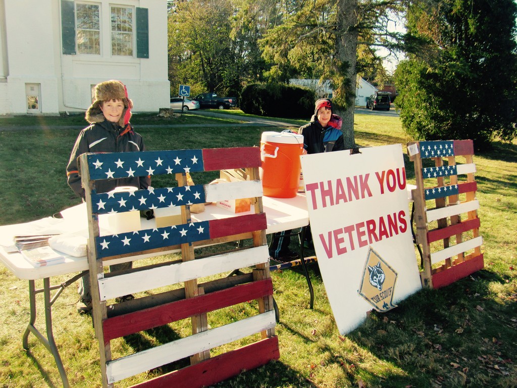 Thank You Veterans  by hbdaly