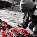 Remembrance Day  by novab