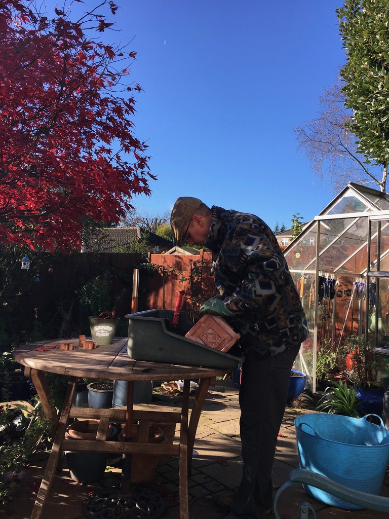 Garden tidying by 365projectmaxine