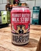 11th Nov 2017 - Peanut butter milk stout