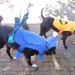 Doggie Halloween Party by margonaut