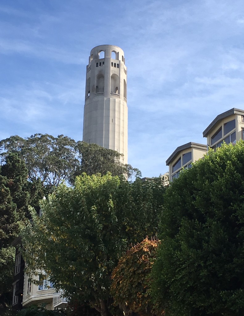 Coit Tower by handmade