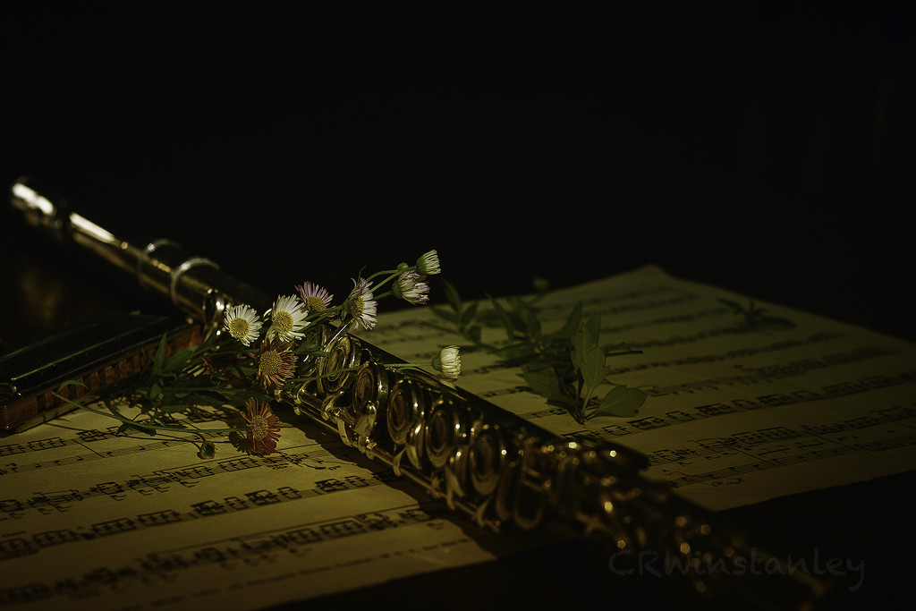 Day 315 Flute and Flowers by kipper1951