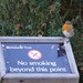 robin on guard... by quietpurplehaze