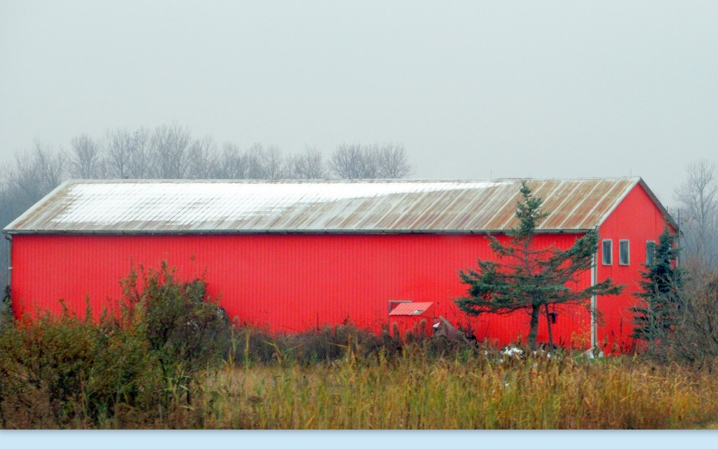 Red Barn by bruni