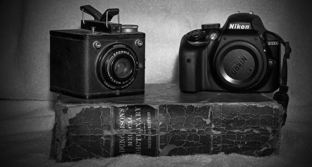 Camera's for B&W Challenge! by rickster549