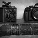Camera's for B&W Challenge! by rickster549