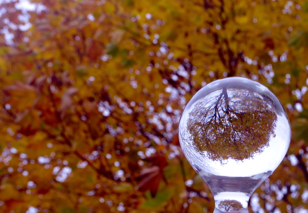 Autumn Refracted In a Bottle Stopper by 30pics4jackiesdiamond