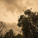 Hurricane Ophelia weather by davidrobinson