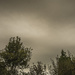 Hurricane Ophelia weather 2 by davidrobinson
