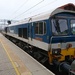 Class 59 stopped at Reading by peadar