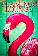 14th Nov 2017 - Flamingo Lounge