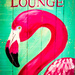 Flamingo Lounge by swillinbillyflynn