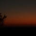 Orange Hazy Sunset by bjchipman