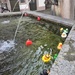  Ducks in the fountain.  by cocobella