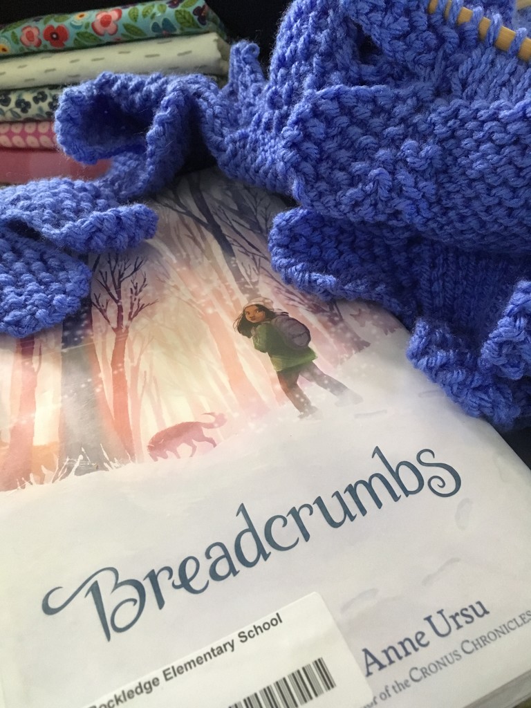 knitting, reading, and napping  by wiesnerbeth