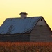 Farm Sunset by randy23