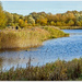 Stanwick Lakes by carolmw