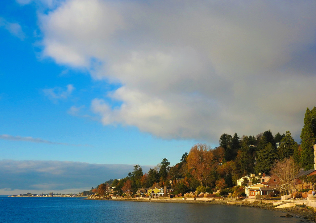 Puget Sound Shoreline With a Fall Look by seattlite