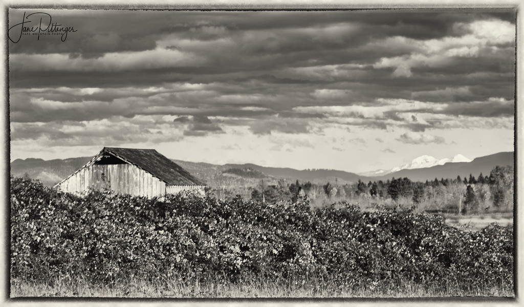 Three Sisters and Barn B and W by jgpittenger